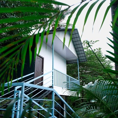Green Aura Private Villas Sultan Bathery Exteriér fotografie