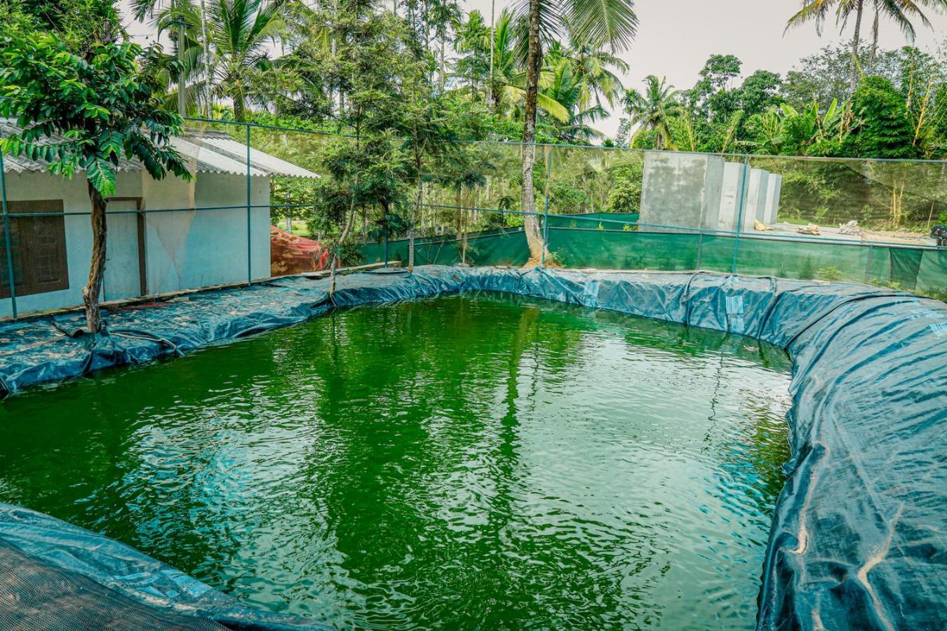 Green Aura Private Villas Sultan Bathery Exteriér fotografie