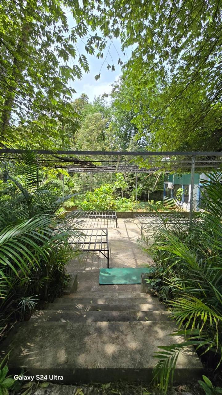 Green Aura Private Villas Sultan Bathery Exteriér fotografie